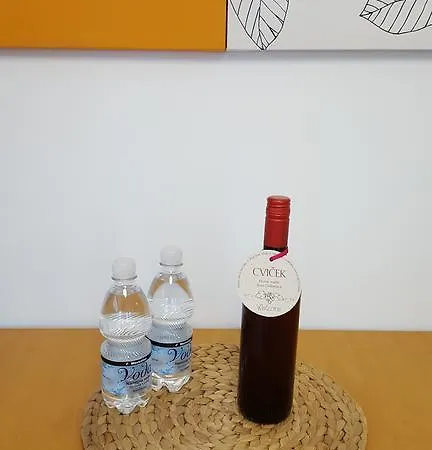 Apartamento Atrium Flat In The Liubliana