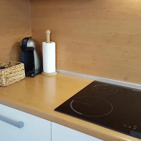 Atrium Flat In The * Liubliana