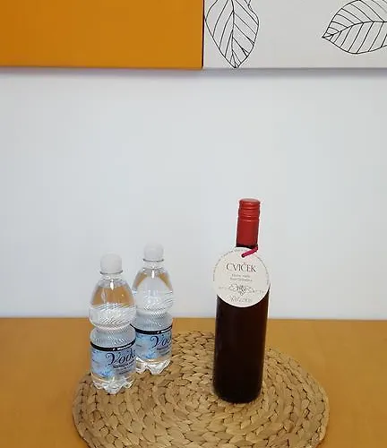 Apartman Atrium Flat In The Ljubljana