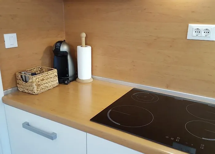 Atrium Flat In The * Ljubljana